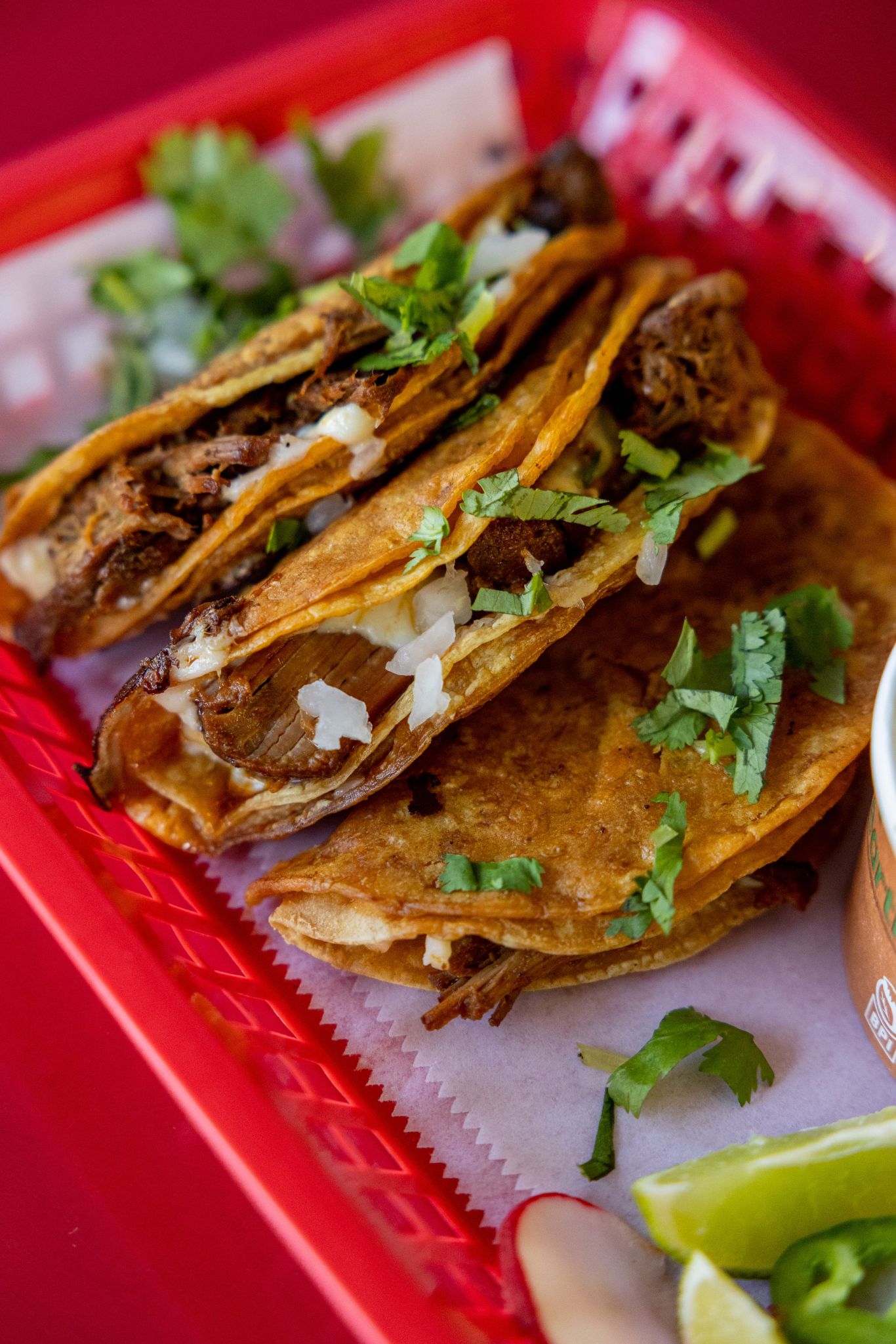 La Divina Tacos